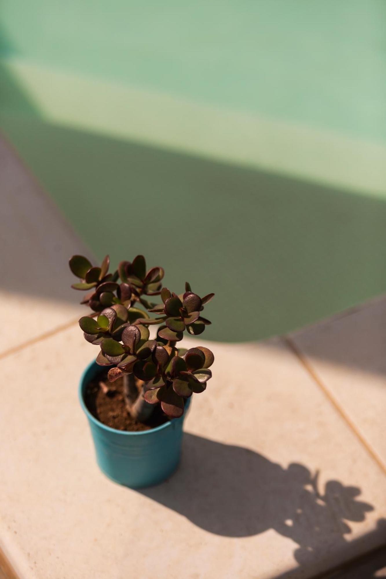 Benvenuti In Puglia Bed & Breakfast Crispiano ภายนอก รูปภาพ